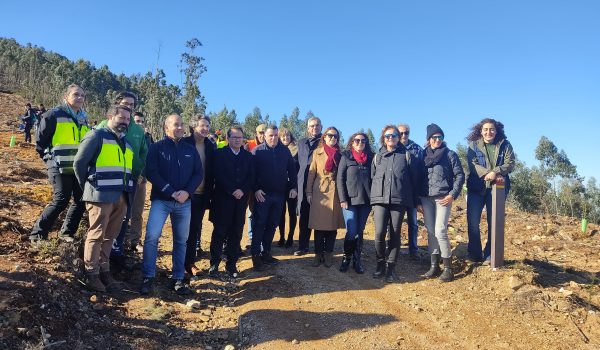 Plantação de árvores Autóctones no Parque das Serras do Porto