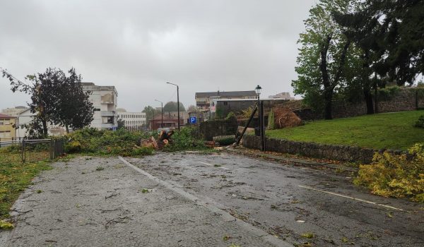 Mau tempo faz estragos em Paredes