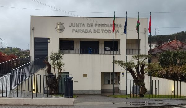 Procissão da Nª Srª dos Remédios 2025 em Parada de Todeia