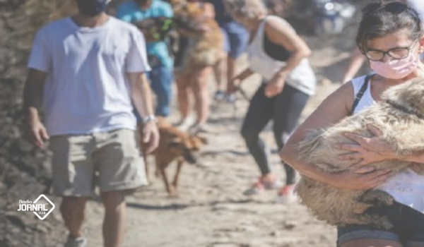 COMEÇOU O JULGAMENTO DOS ANIMAIS MORTOS EM ABRIGOS ILEGAIS EM 2020