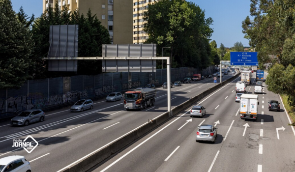 IP INTERVÉM EM ÁRVORES JUNTO À VCI NO PORTO