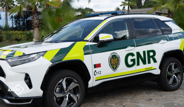 HOMEM DEIXA O CÃO SEM ÁGUA E CUIDADOS DEPOIS DE SER ATROPELADO EM BRAGA