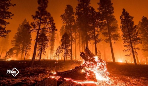 NOVA APP PROMETE REVOLUCIONAR COMBATE AOS INCÊNDIOS