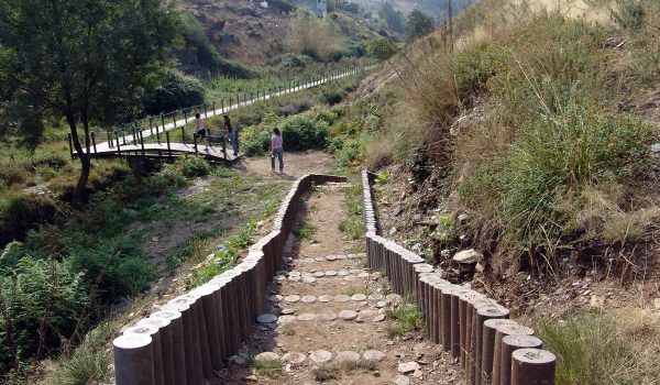 PARQUE DAS SERRAS DO PORTO COMPRA 25 HECTARES PARA REFORÇAR PROTEÇÃO DA NATUREZA