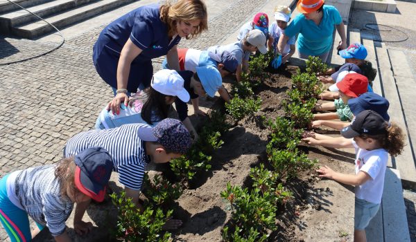 PAREDES MOBILIZA 40 ECO-ESCOLAS EM DUAS SEMANAS DEDICADAS AO AMBIENTE E À AÇÃO CLIMÁTICA