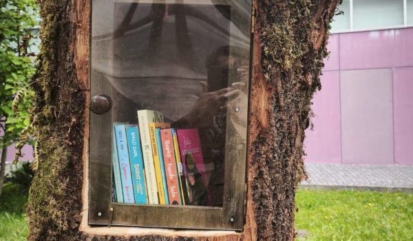 ESCOLA SECUNDÁRIA DE PAÇOS DE FERREIRA TRANSFORMA ÁRVORE CAÍDA EM BIBLIOTECA AO AR LIVRE