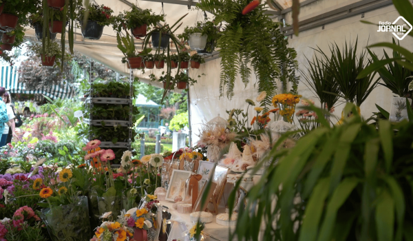 15ª EDIÇÃO DO FLORES E SABORES EM PENAFIEL