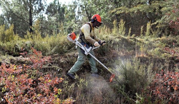 PENAFIEL INVESTE MAIS DE 250 MIL EUROS NA PREVENÇÃO DE INCÊNDIOS RURAIS