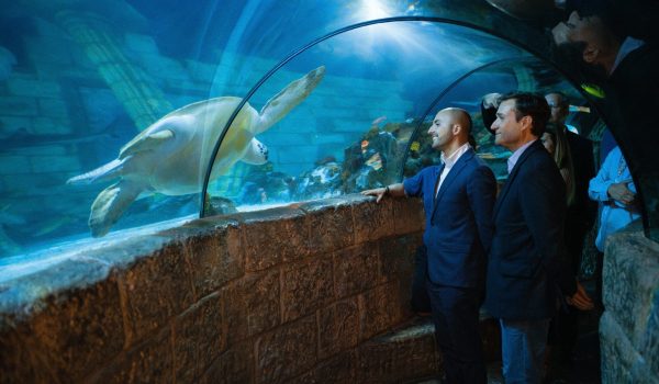 Portuenses ganham mais de 3 mil entradas gratuitas e descontos no SEA LIFE Porto após novo protocolo