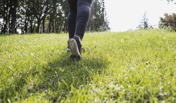 “Sentir os Jardins – Walk with Doctor”: Penafiel promove caminhada pela saúde e natureza
