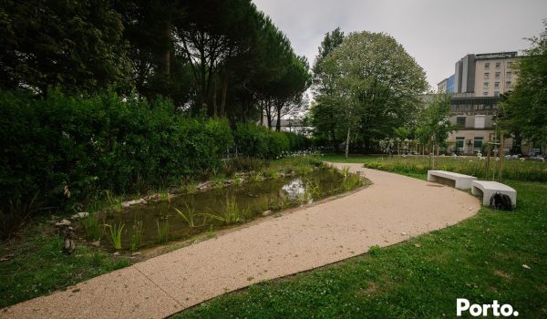 Rãs e tritões “ajudam” na recuperação de doentes no jardim terapêutico do Hospital de São João