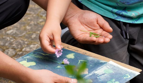 Atividades de verão convidam crianças do 1.º ciclo a explorar a ciência e a biodiversidade em Gaia