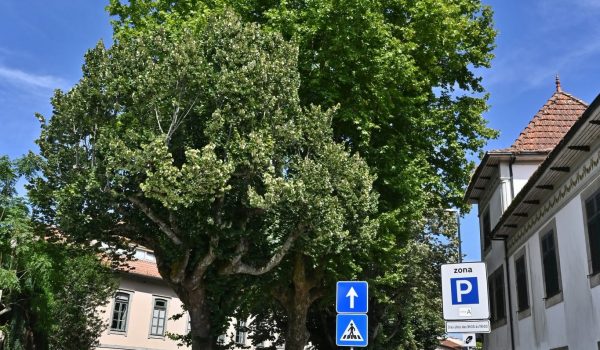 Gondomar: Trânsito cortado na Praça do Município a 11 e 12 de junho para poda de árvores