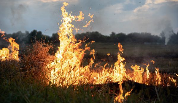 União Europeia mobiliza maior resposta de sempre para enfrentar incêndios florestais no verão de 2026