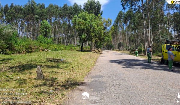 Risco de incêndio: Câmara de Paços de Ferreira apela à limpeza de terrenos e restringe uso do fogo