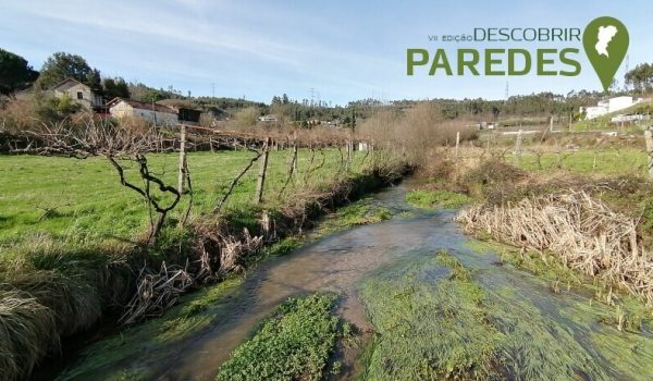 “Descobrir Paredes”: Próxima caminhada explora o Trilho dos Caleiros, Represas e da Torna