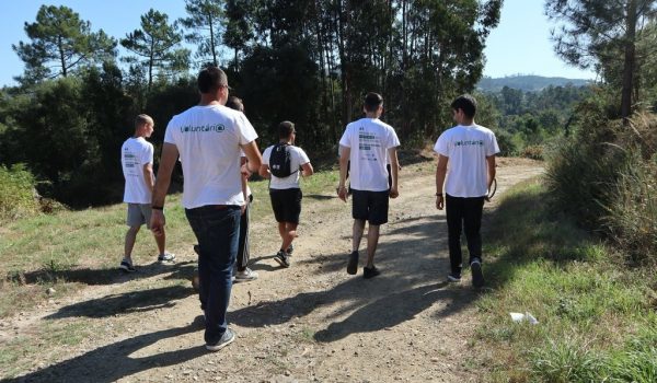 Voluntariado ambiental em Paredes para jovens até aos 30 anos atribui bolsa diária de 13 euros