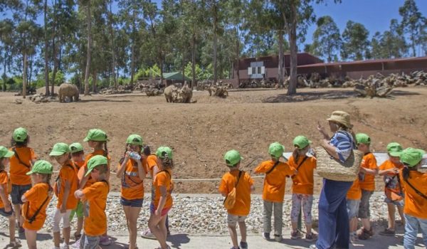 Gaia: Zoo Santo Inácio desafia crianças a trocar ecrãs pela vida selvagem