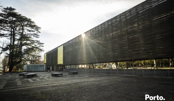 Biblioteca Almeida Garrett: Ciclo de cinema gratuito continua com sessões a 15 e 22 de julho
