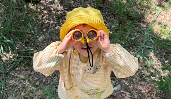 Paredes recebe nova edição do programa “Famílias Forest School” a 25 de julho
