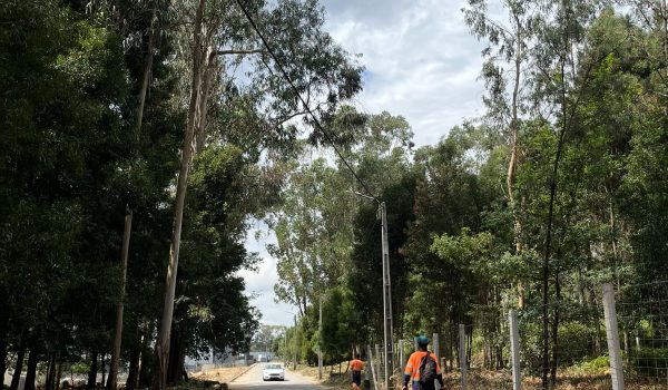 Paços de Ferreira conclui limpeza de 22 hectares de faixas de gestão de combustível