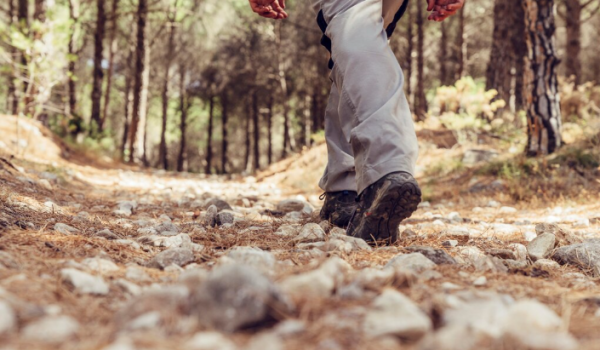 Caminhos do Romântico promovem quatro percursos especiais no Vale de Massarelos até novembro