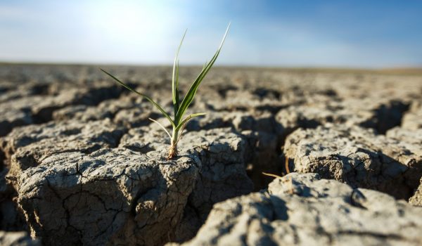 Seca e onda de calor: Julho foi o mês mais seco deste século em Portugal continental