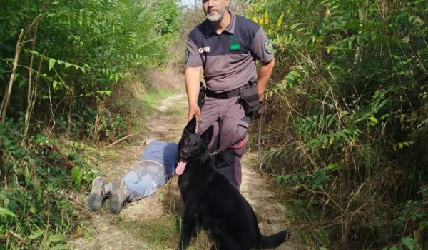 Cão da GNR localiza com vida homem de 78 anos desaparecido há quatro dias em Amarante