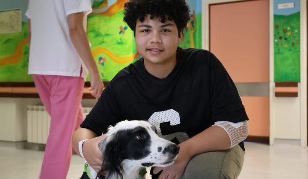 Brit Júlio, o cão da Associação Ânimas que transformou o dia no Internamento de Pediatria da ULS Tâmega e Sousa