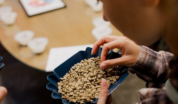 Porto Coffee Week regressa na próxima segunda-feira com mercado de café no Bolhão