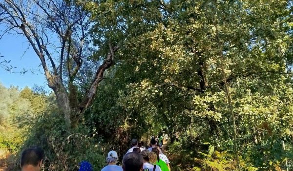 Centro de Marcha e Corrida de Felgueiras distinguido com certificado Ouro pelo 2.º ano consecutivo