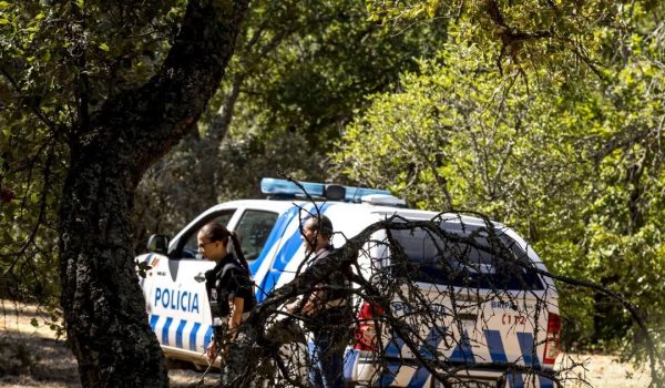 Operação “Planeta Azul II”: PSP deteta 382 infrações em fiscalização ambiental e rodoviária